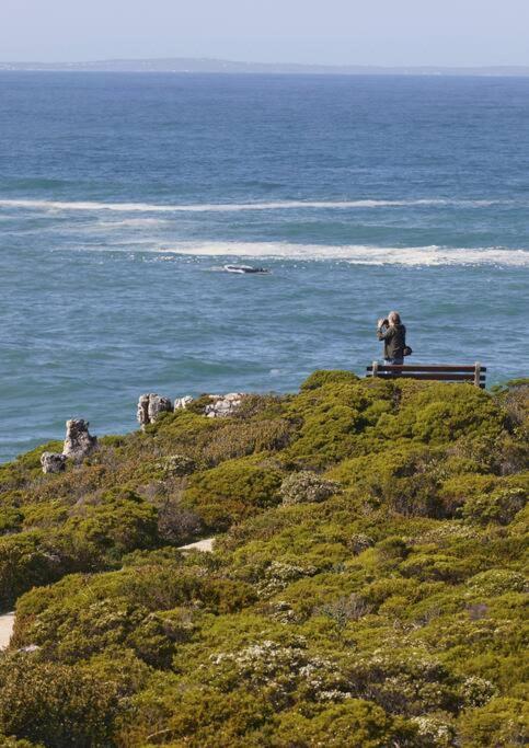 Heartwood Cottage Hermanus Kültér fotó