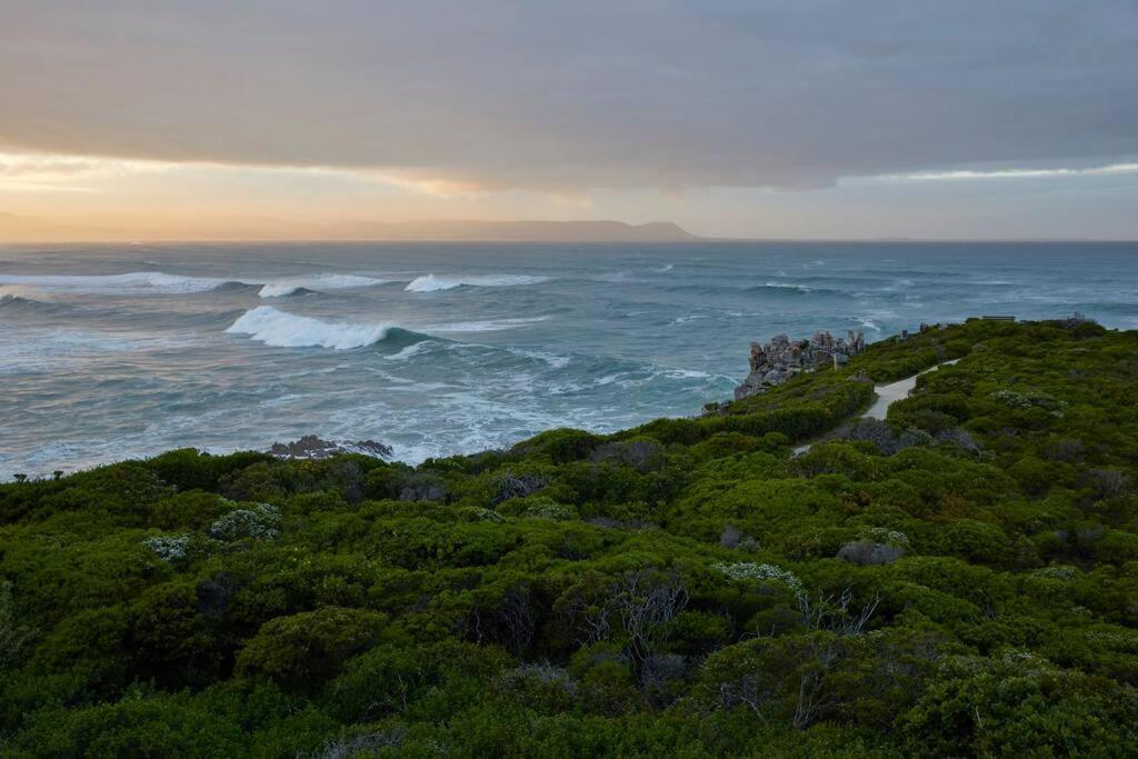 Heartwood Cottage Hermanus Kültér fotó