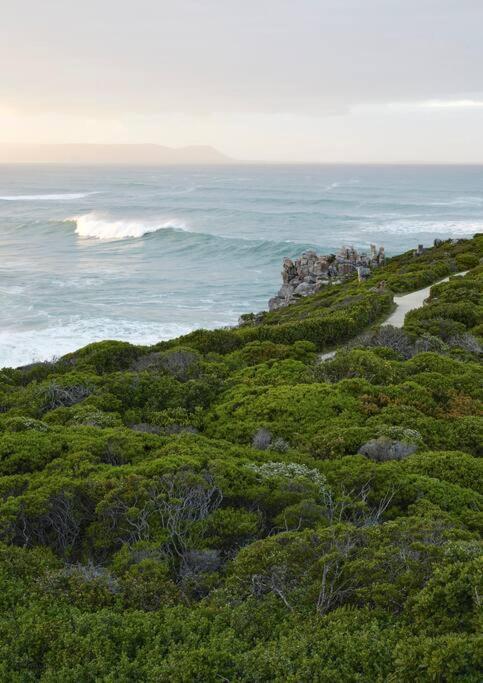 Heartwood Cottage Hermanus Kültér fotó